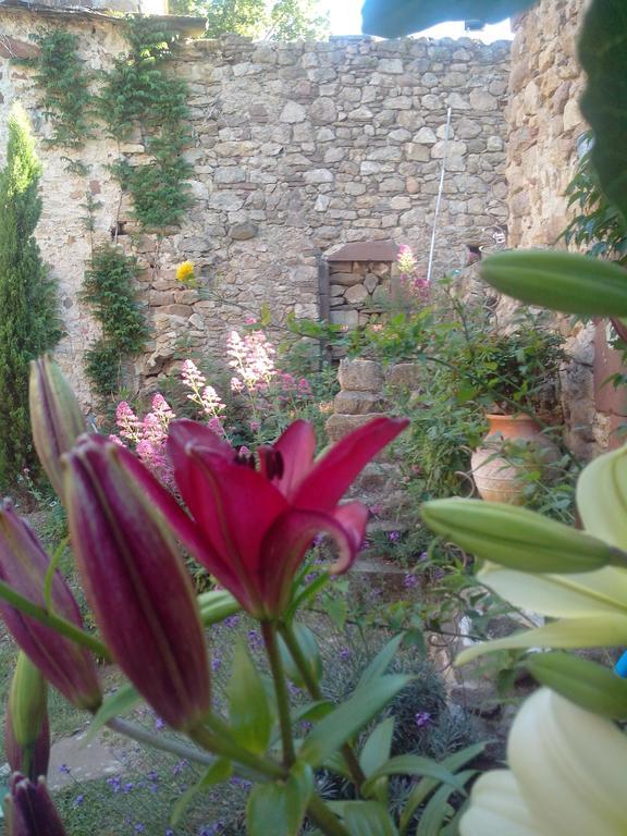 Bed and Breakfast Le Clos De La Source Le Bousquet-d'Orb Экстерьер фото